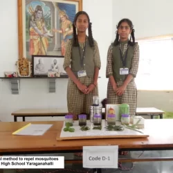 Project 2023-24 - II